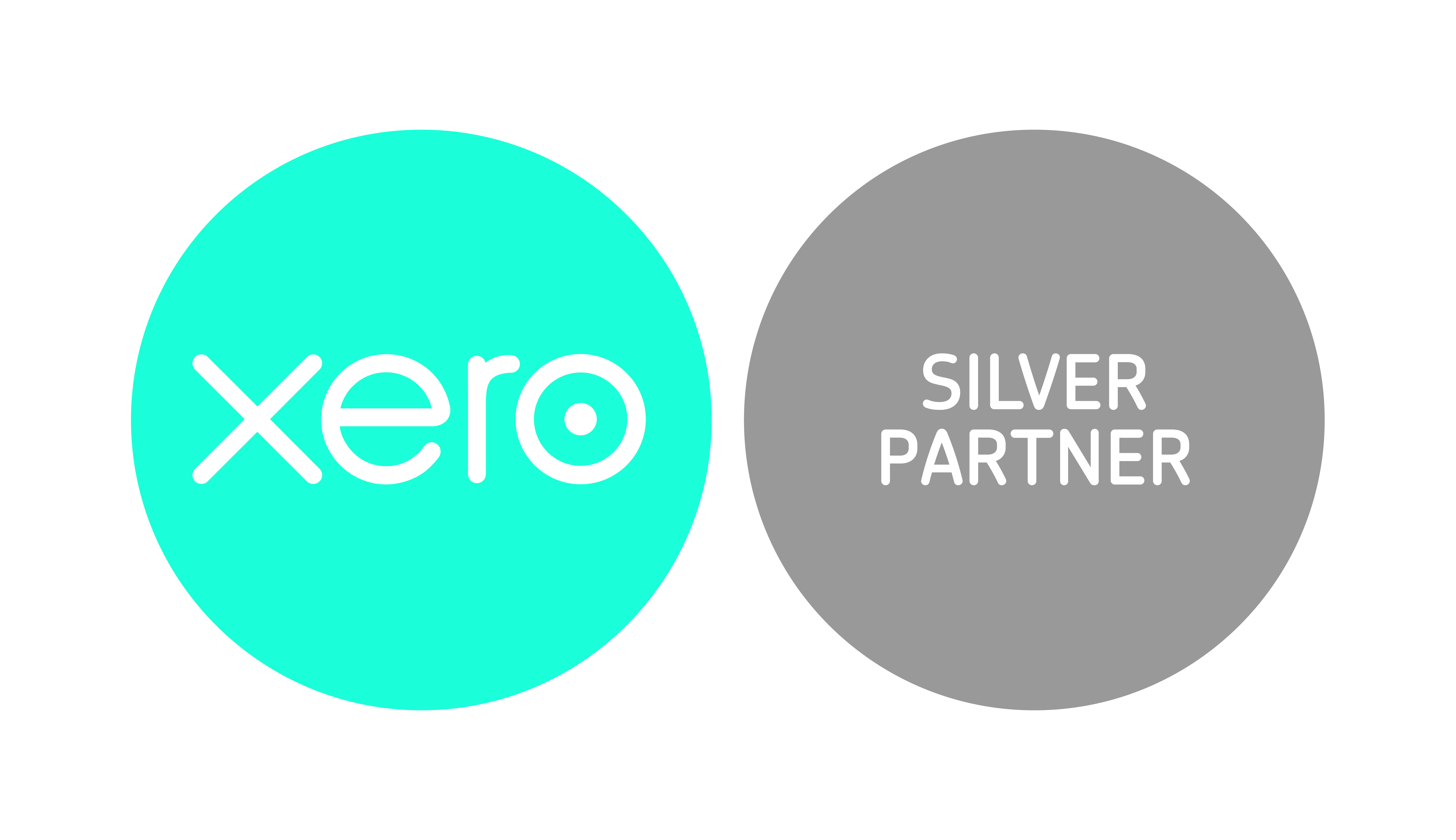 xero accounting software partners